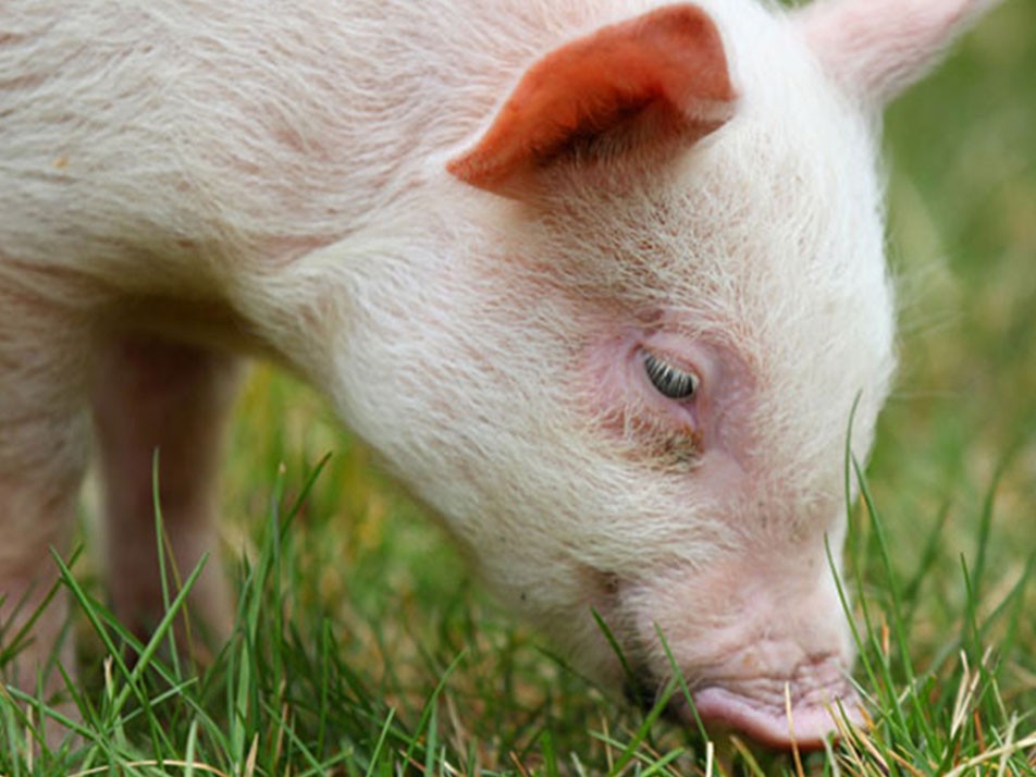 BB贝博登录网站