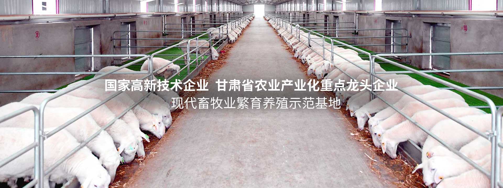 BB贝博登录网站