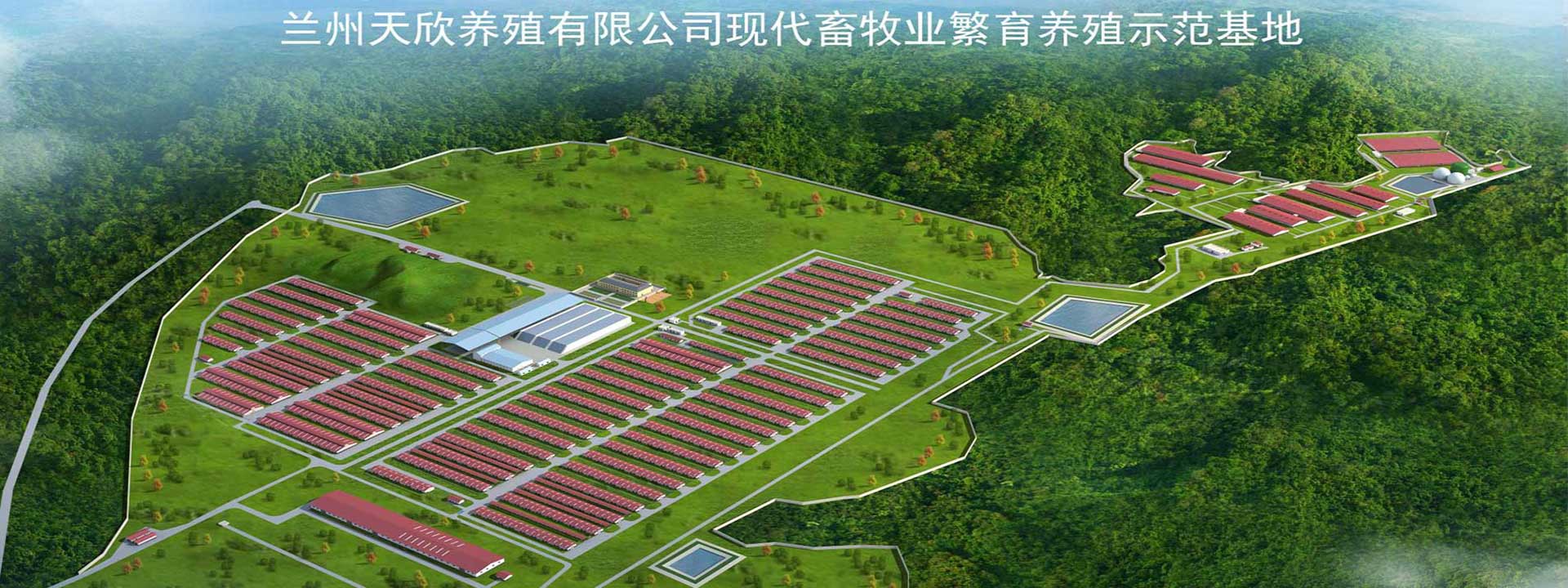 BB贝博登录网站